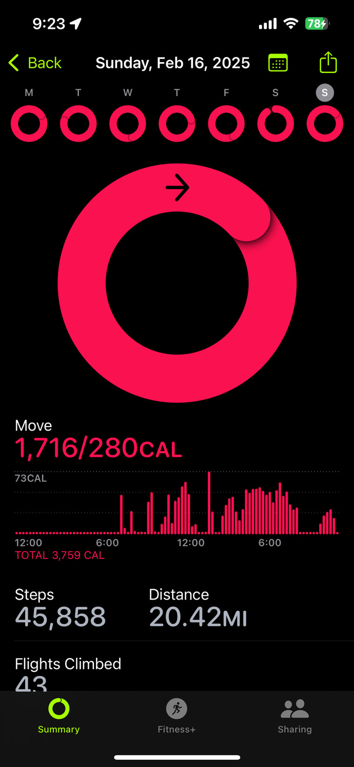 How much do you think you have walked in a single day?