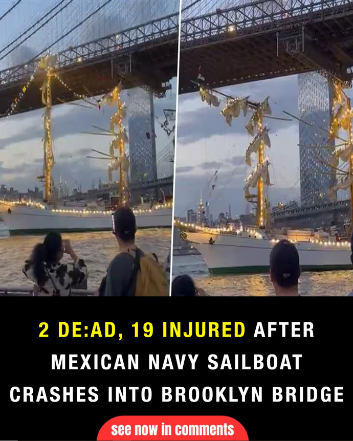 What did you think of the Mexican Navy sailboat crashing into the Brooklyn Bridge last Saturday evening?