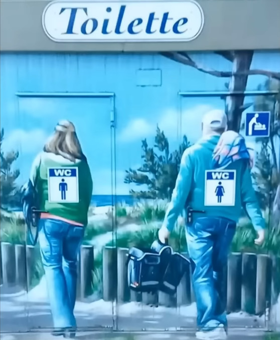 Which TOILETTE DOOR would you use?