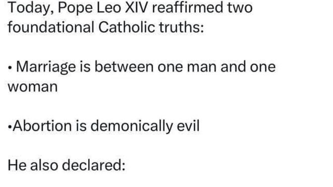 How is Pope Leo doing so far?
