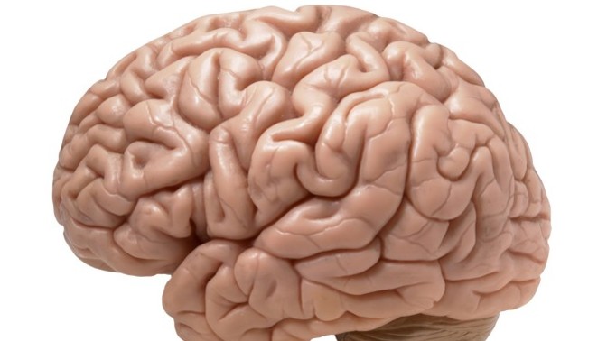 Are people intimidated by those they perceive as more intelligent?