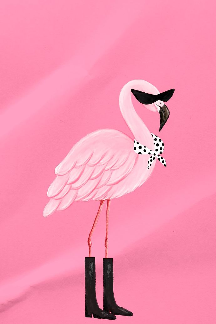 Do penguins ever get jealous of flamingos for being so fabulously pink?