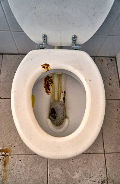 Would you still describe America as a 'melting pot'?
