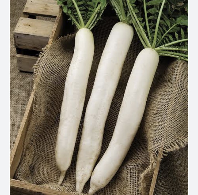 Which out of these is your favourite vegetable ?