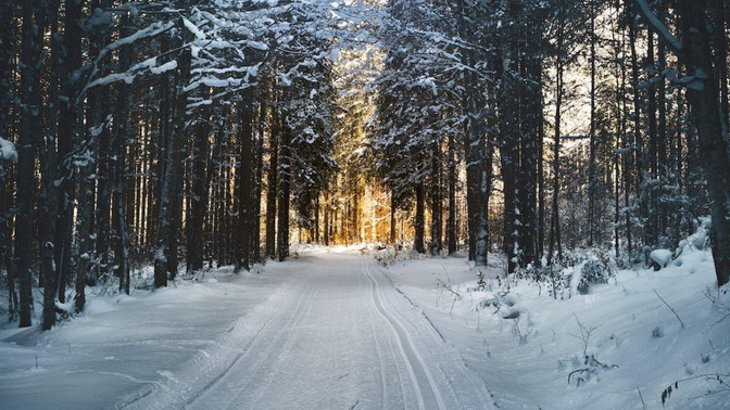 Are you a summer person or a winter person?