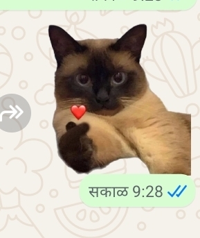 I like this guy in my class, what vibe do you get from the convo below?