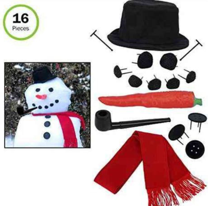 Have you ever seen snow before?