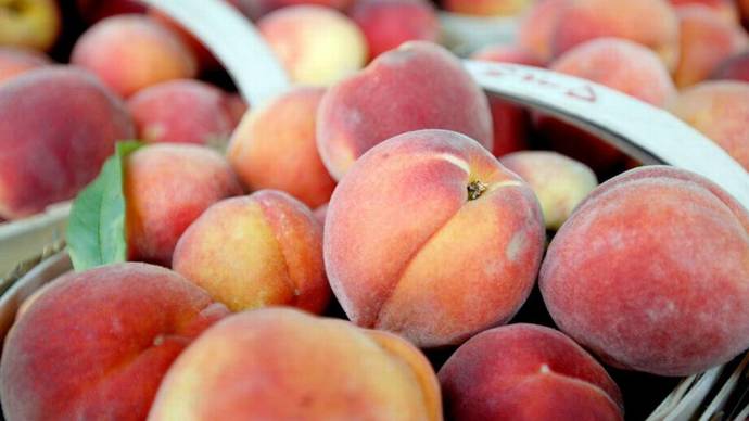 Peaches or pineapple. Which fruit do you like better ?