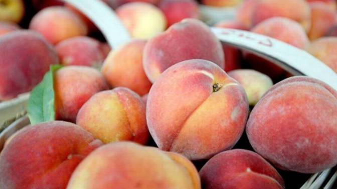 Peaches or pineapple. Which fruit do you like better?
