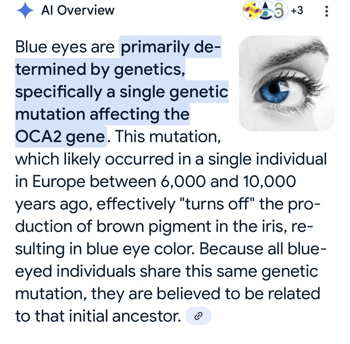 Do you have blue eyes?