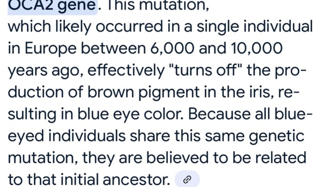 Do you have blue eyes?