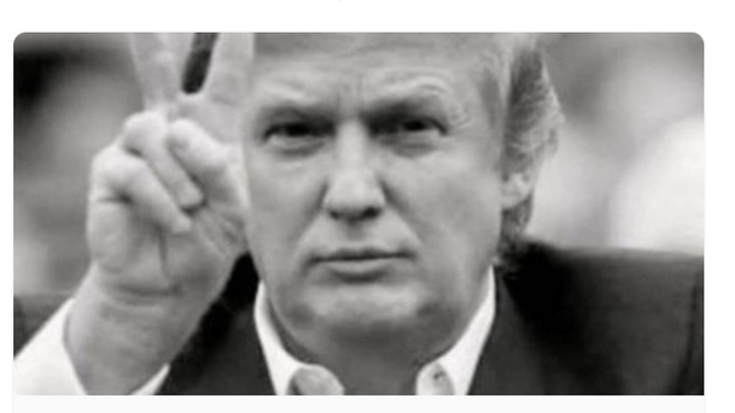 "Biden was a clone, the real one was assasinated in 2020" released from the whitehouse DJT account last night. Is this a president you want removed?