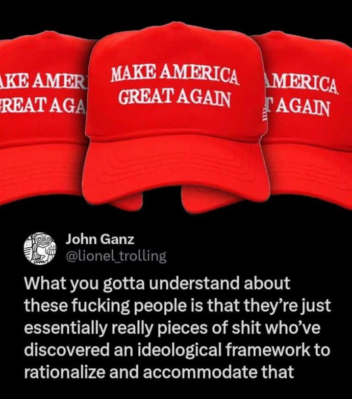Do you regret voting for Trump?