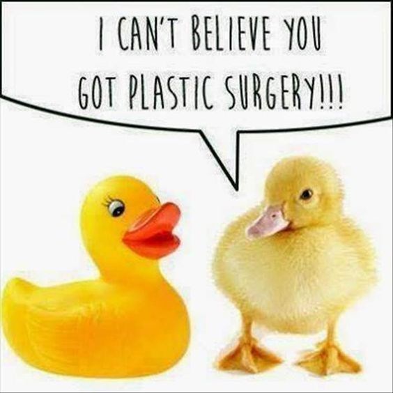 Finish this sentence: Ducks are _______?