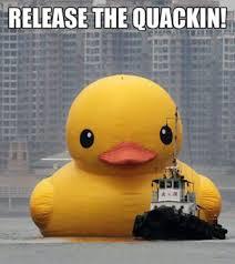 Finish this sentence: Ducks are _______?