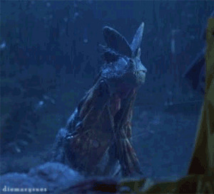 Hunters, if you had the chance, would you ever try to hunt a dinosaur? What kind of dinosaur would you try to hunt?