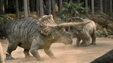 Hunters, if you had the chance, would you ever try to hunt a dinosaur? What kind of dinosaur would you try to hunt?