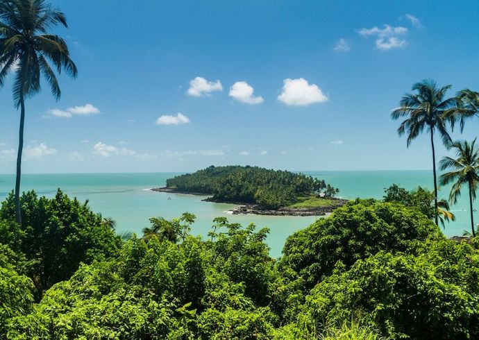 Where would you rather travel for a year?
