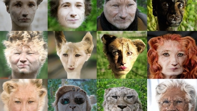 What animal attribute would you add to yourself if you could?