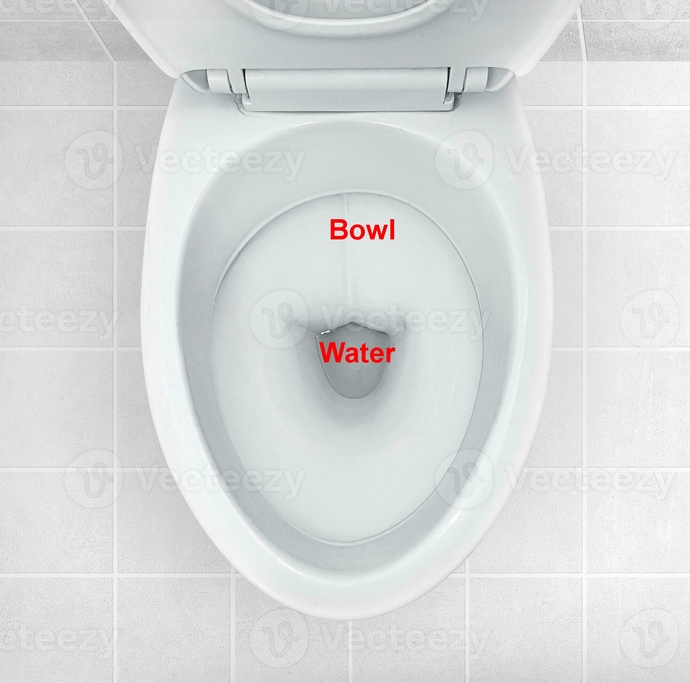 Guys, When you pee standing up, what do you aim at?