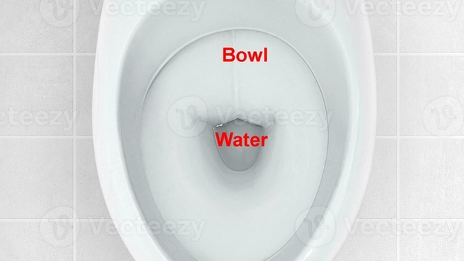 Guys, When you pee standing up, what do you aim at?
