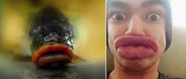 Guys, have you ever kissed a girl with fish lips?