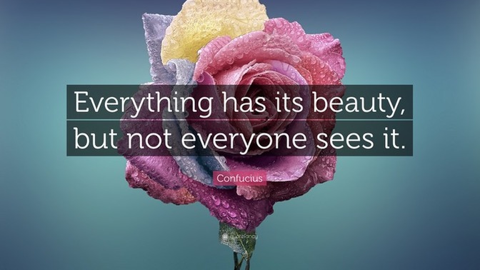 Is there beauty in everything?🌷?