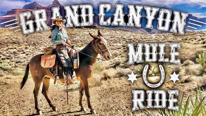 Do you know how to ride?
