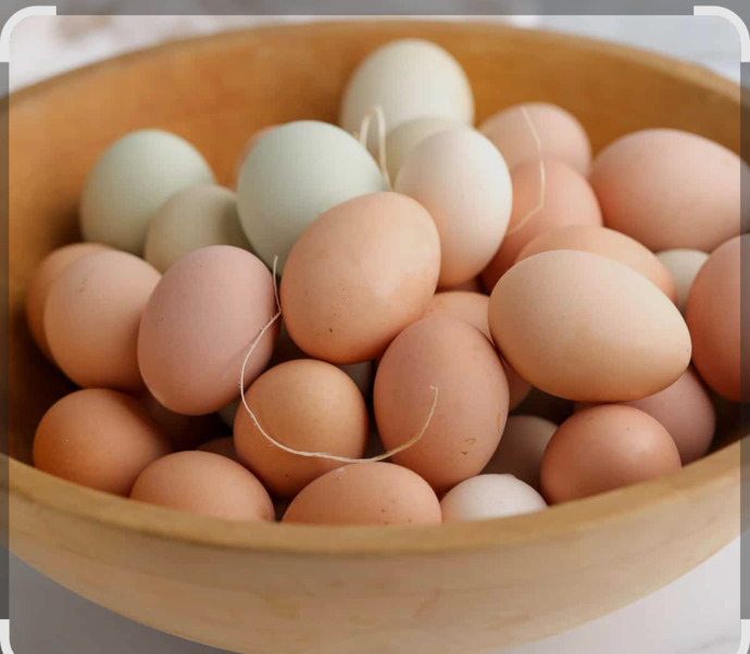 The price of eggs is down 61% since Trump took office. Why was the media screaming about eggs when he started and now is completely ignoring it?