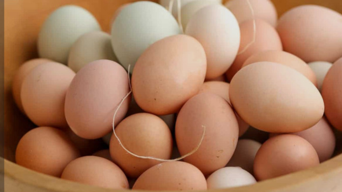 The price of eggs is down 61% since Trump took office. Why was the media screaming about eggs when he started and now is completely ignoring it?