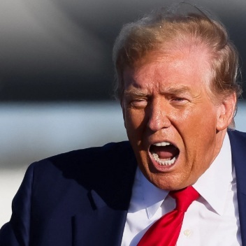 Are you on Team Trump or Team Musk?