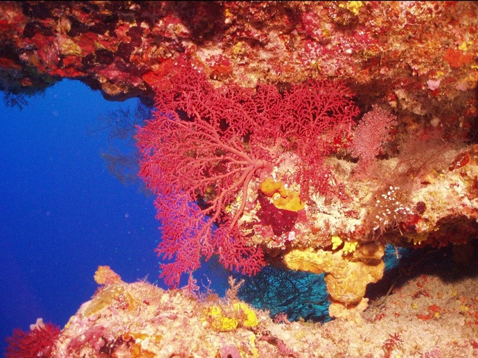 What are your thoughts on Britain surrendering control of the Chagos Islands to Mauritius?