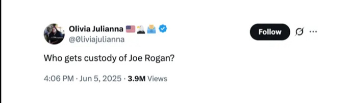 While Trump and Musk childishly destroyed each other who is running the country?