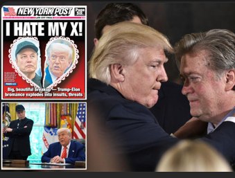 Bannon is calling for Musk to be investigated and deported, do you agree with his sudden stance?