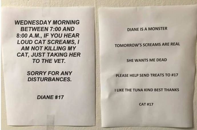 Are your cats wiseacres or little shits?