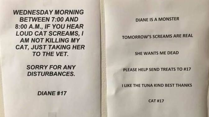 Are your cats wiseacres or little shits?