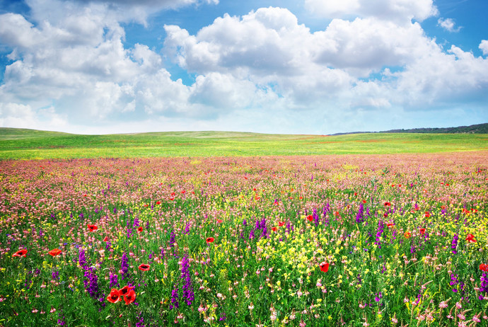 What kind of nature do you always like to visit but havent yet?