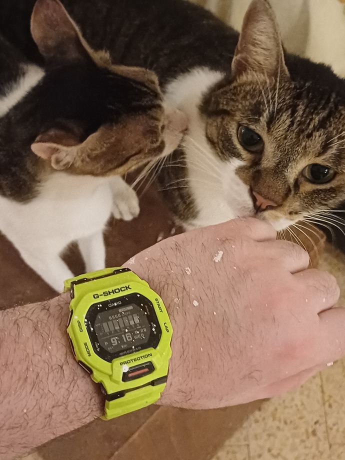 Which band looks better on my blue watch?