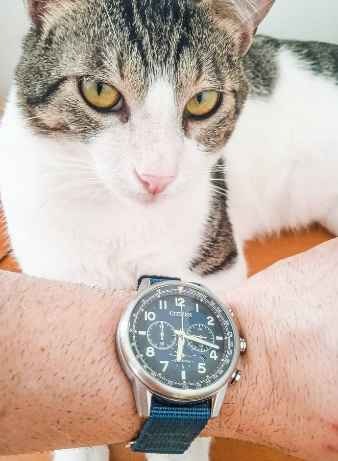 Which band looks better on my blue watch?