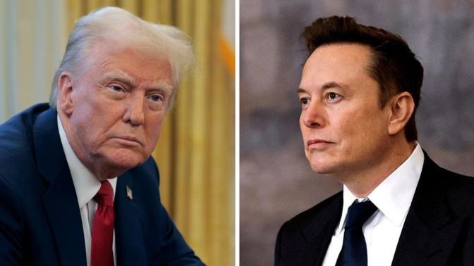 What do you think about the fight between Donald Trump and Elon Musk?