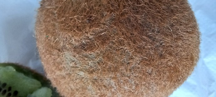 Do you eat kiwi fruit skin?