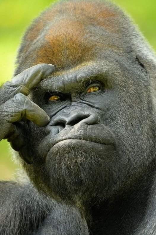 What do you think about people who interpret and judge any situation or topic according to their own perspective?
