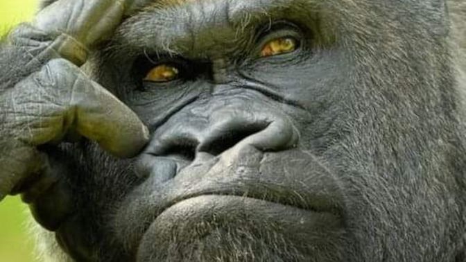 What do you think about people who interpret and judge any situation or topic according to their own perspective?