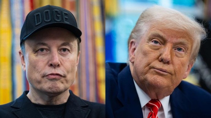 What do you think about the fight between Trump and Musk?