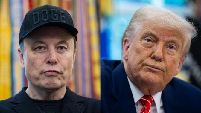 What do you think about the fight between Trump and Musk?