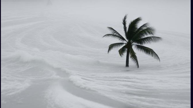 Trump is attempting to dissolve FEMA... too. Are you concerned?