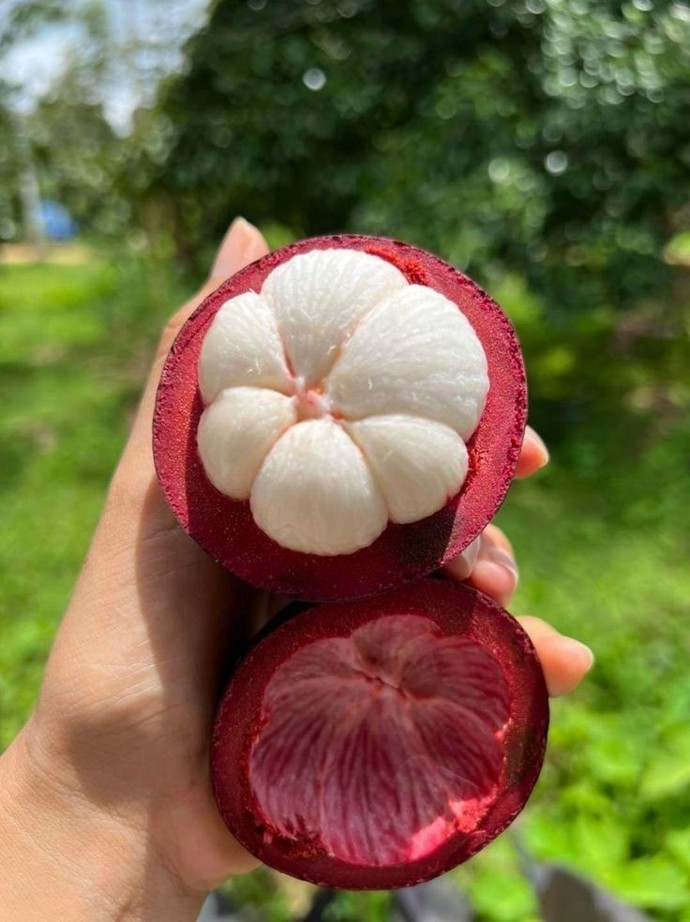 Which three fruits do you like to peel and offer to me?