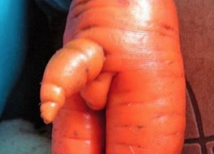 after weight loss
