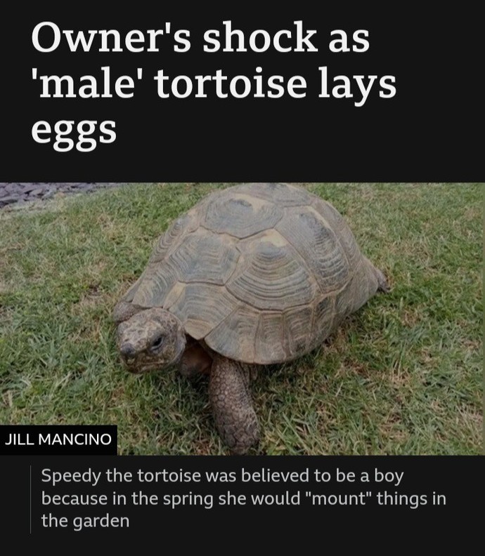 Have you ever been mistaken for the wrong gender or sex?