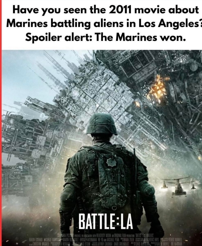 Marines to restore the rule of law to LA after more Democrat incompetence in California. Do you support this?